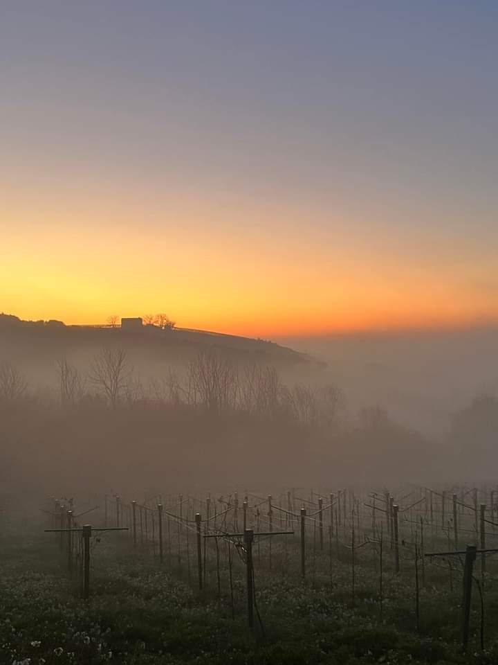 tramonto con nebbia